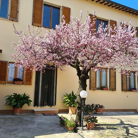 B&B Barbara Assisi Cannara エクステリア 写真