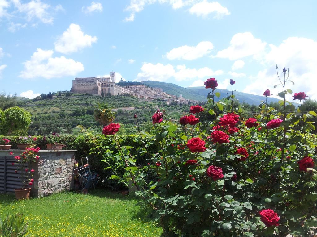 B&B Barbara Assisi Cannara 部屋 写真