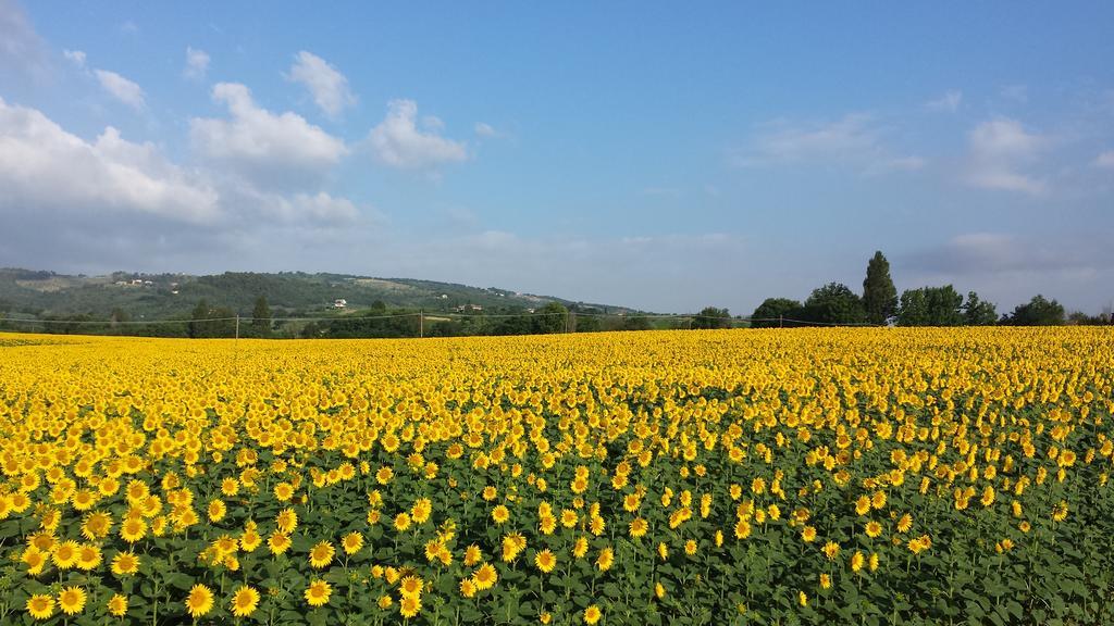 B&B Barbara Assisi Cannara エクステリア 写真