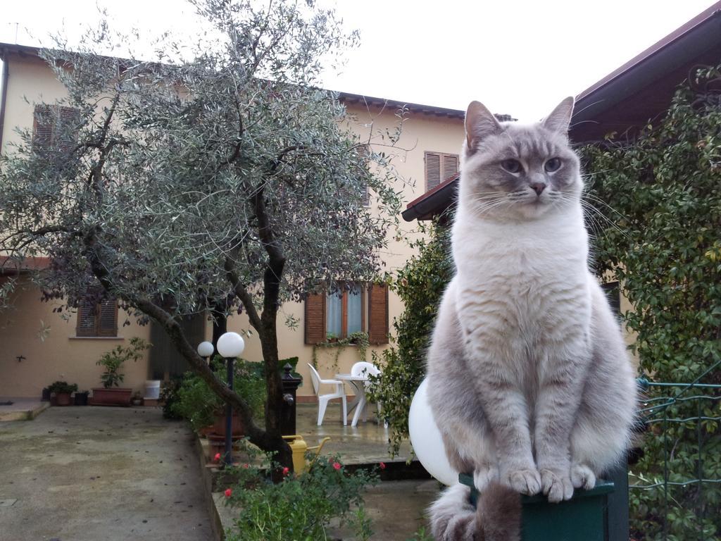 B&B Barbara Assisi Cannara エクステリア 写真